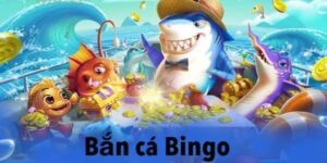 ban ca bingo