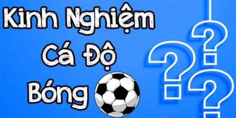Kinh nghiệm chơi cá độ bóng đá