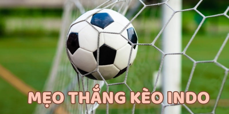 Áp dụng mẹo và chiến lược để tăng tỷ lệ thắng kèo Indo